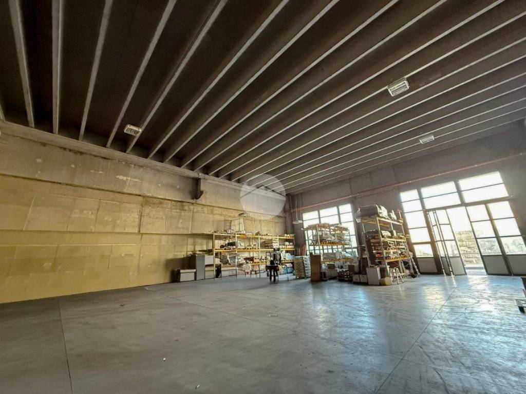 immagine annuncio 10 di 11