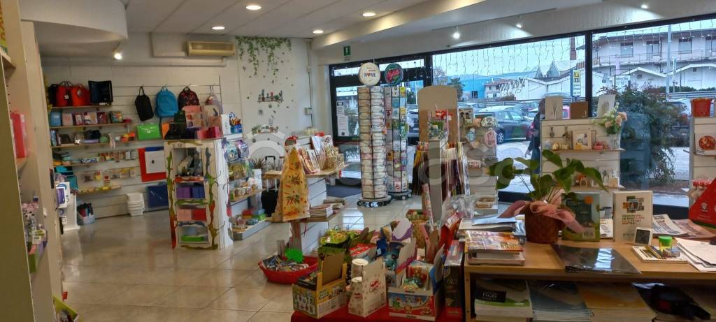 immagine annuncio 1 di 7