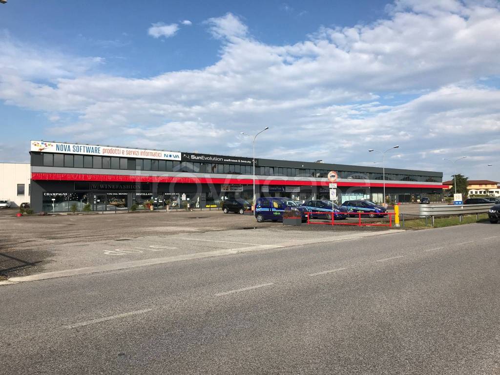 immagine annuncio 3 di 7