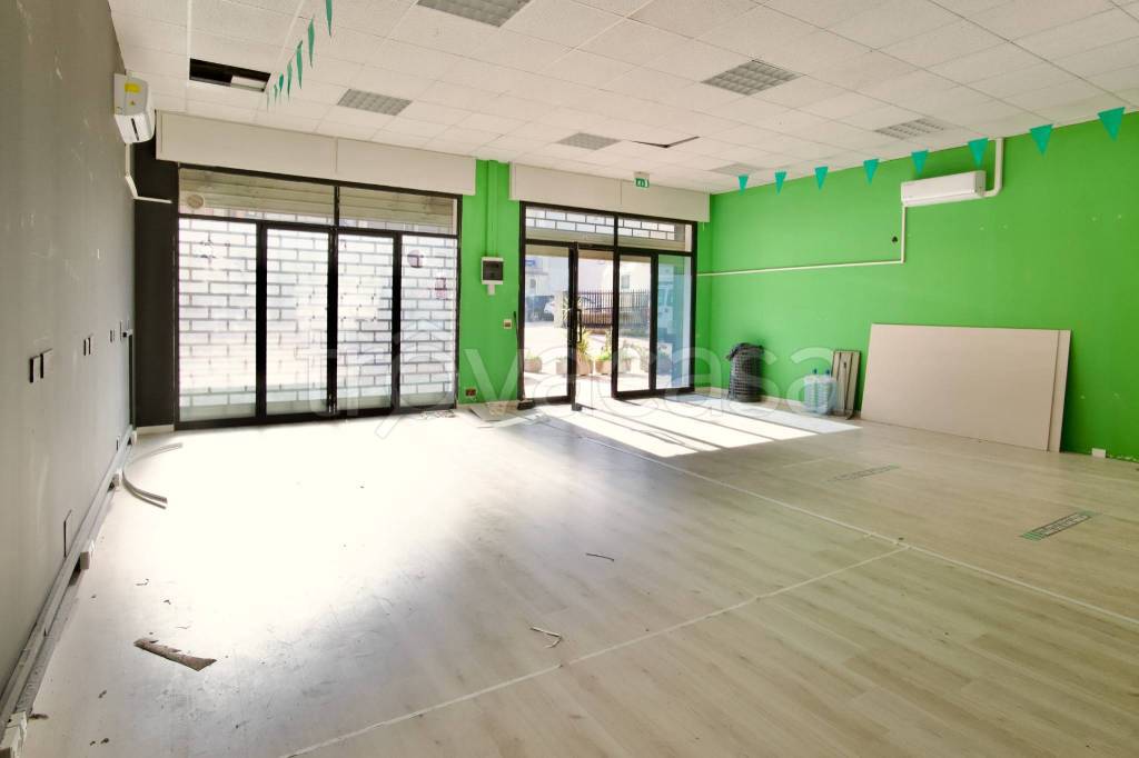 immagine annuncio 3 di 12