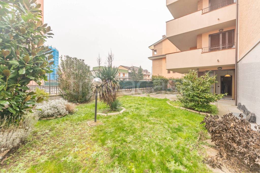 immagine annuncio 1 di 15