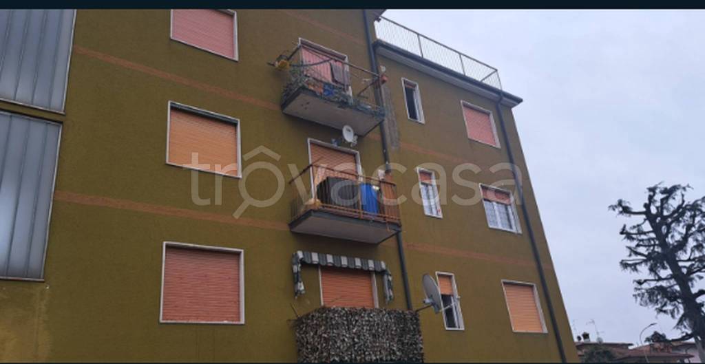 immagine annuncio 1 di 12