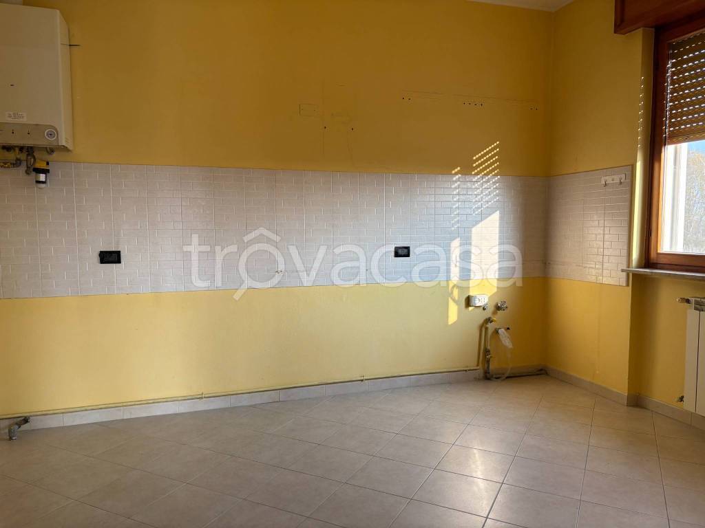 immagine annuncio 4 di 8