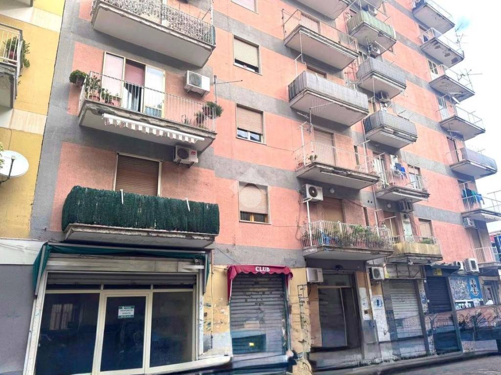 immagine annuncio 1 di 14