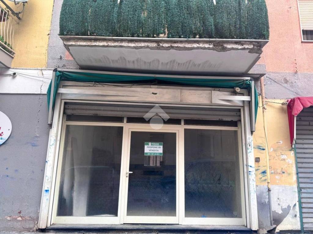 immagine annuncio 12 di 14