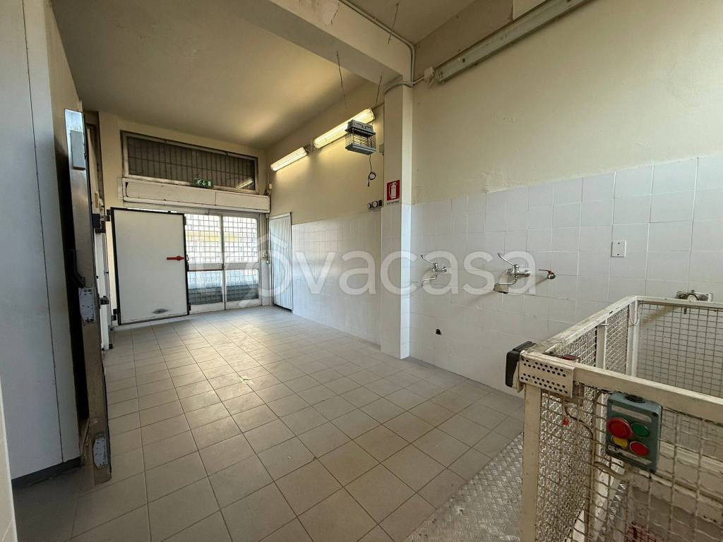 immagine annuncio 2 di 8