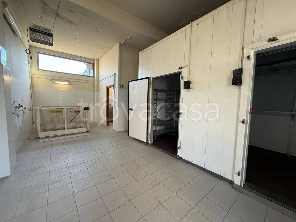 immagine annuncio 3 di 8