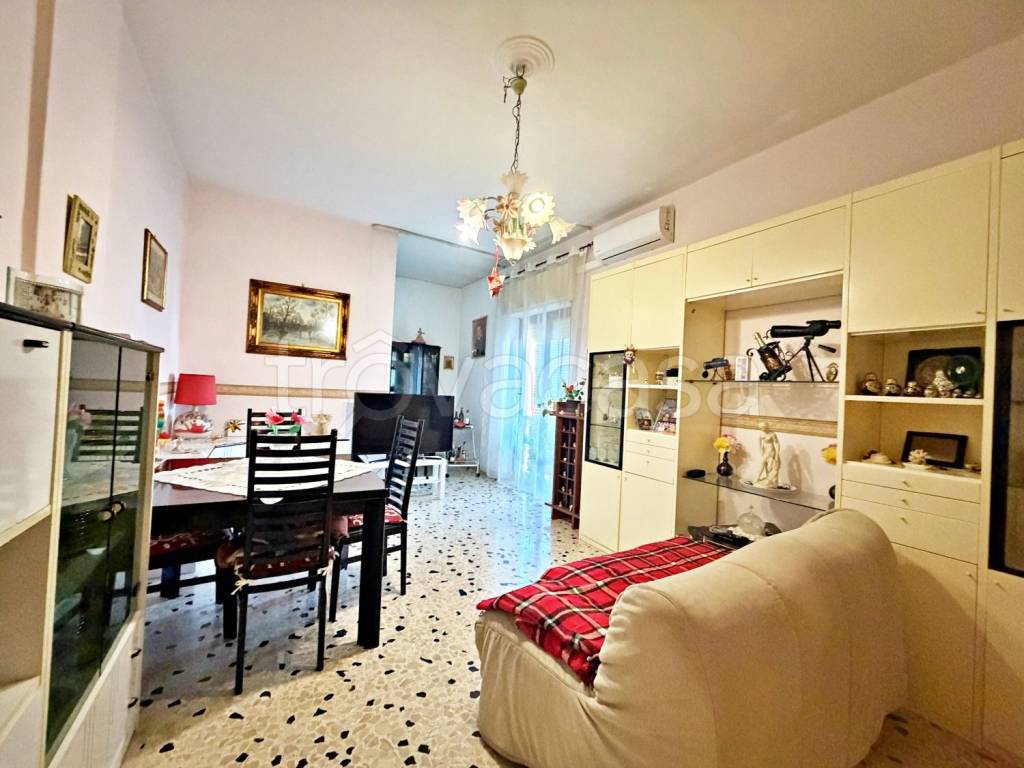 immagine annuncio 9 di 14