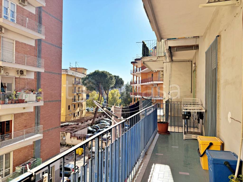 immagine annuncio 11 di 14