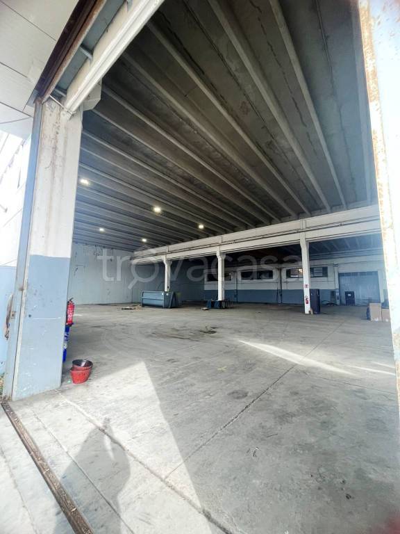 immagine annuncio 1 di 13