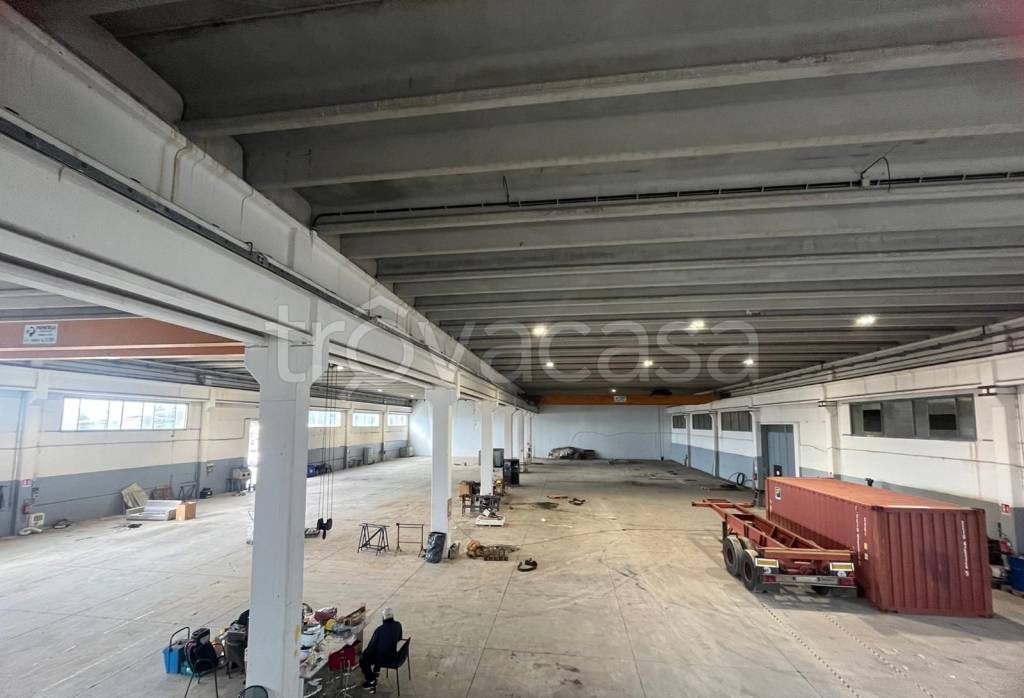 immagine annuncio 2 di 13