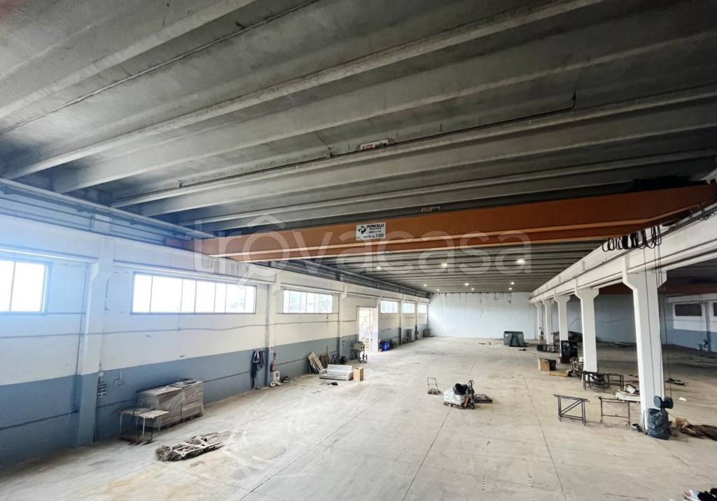 immagine annuncio 3 di 13