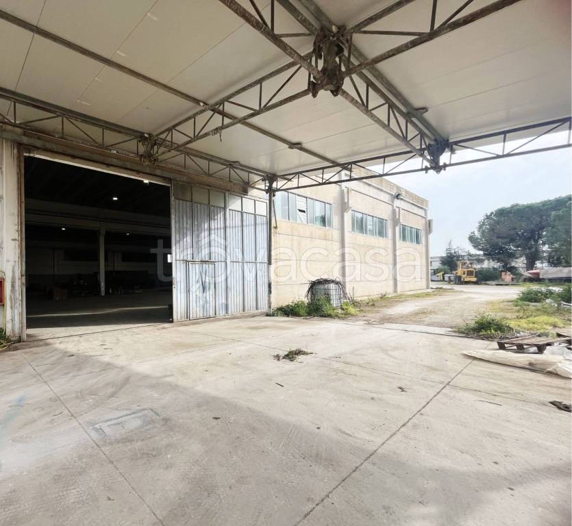 immagine annuncio 4 di 13