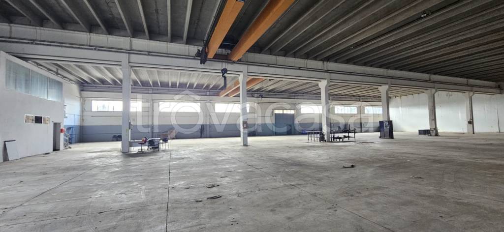 immagine annuncio 7 di 13