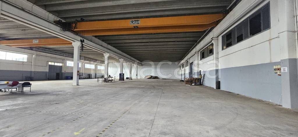 immagine annuncio 9 di 13