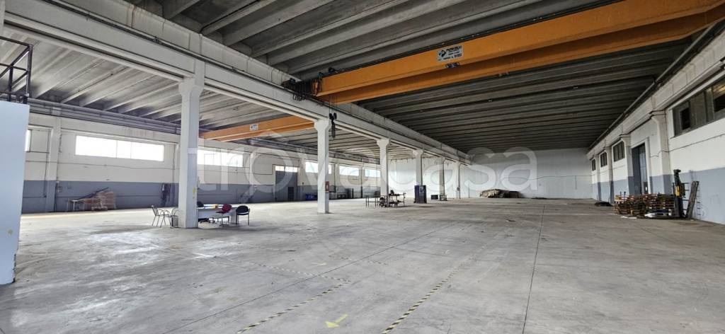 immagine annuncio 10 di 13