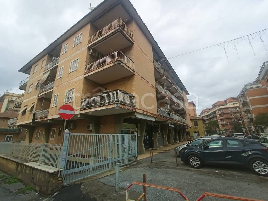 immagine annuncio 1 di 14