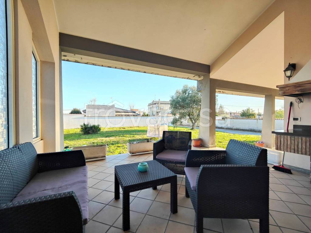 immagine annuncio 11 di 15