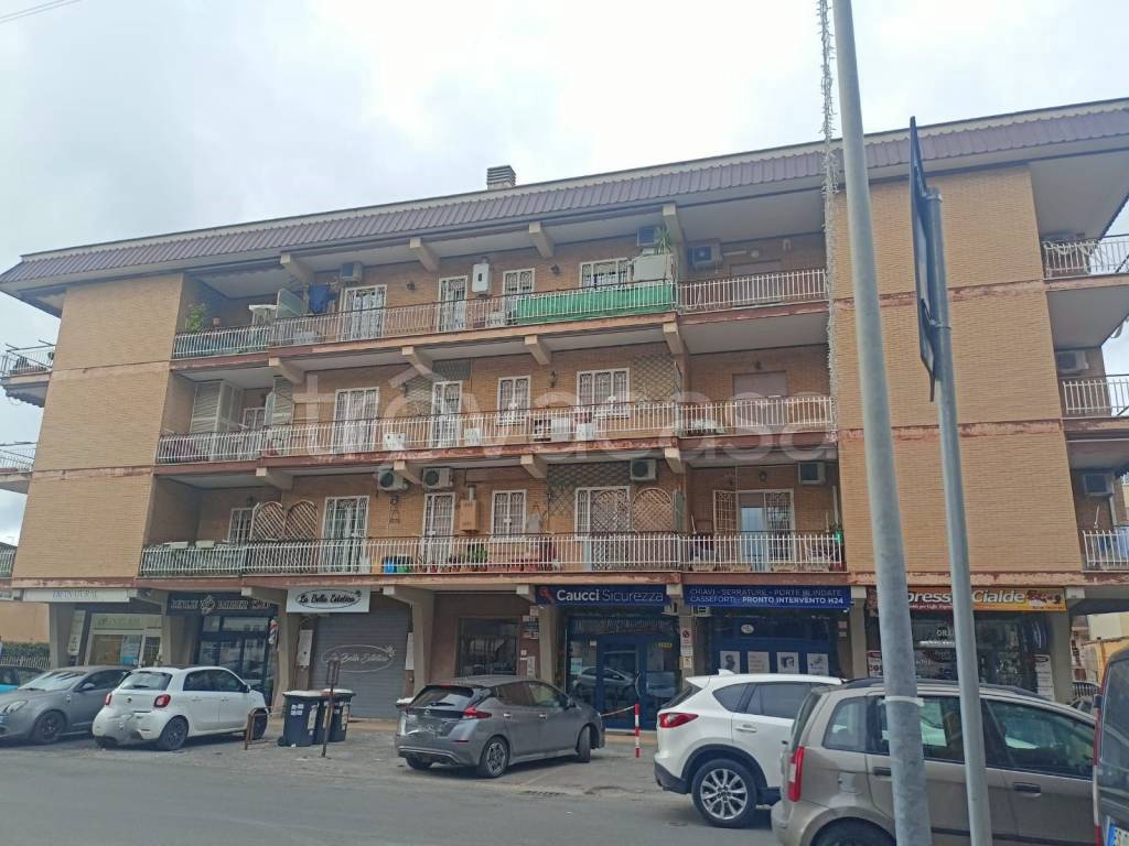 immagine annuncio 2 di 14