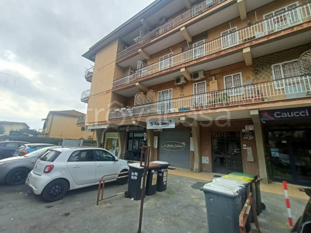 immagine annuncio 3 di 14