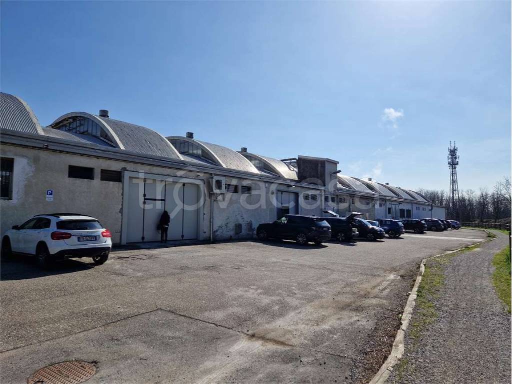 immagine annuncio 9 di 15