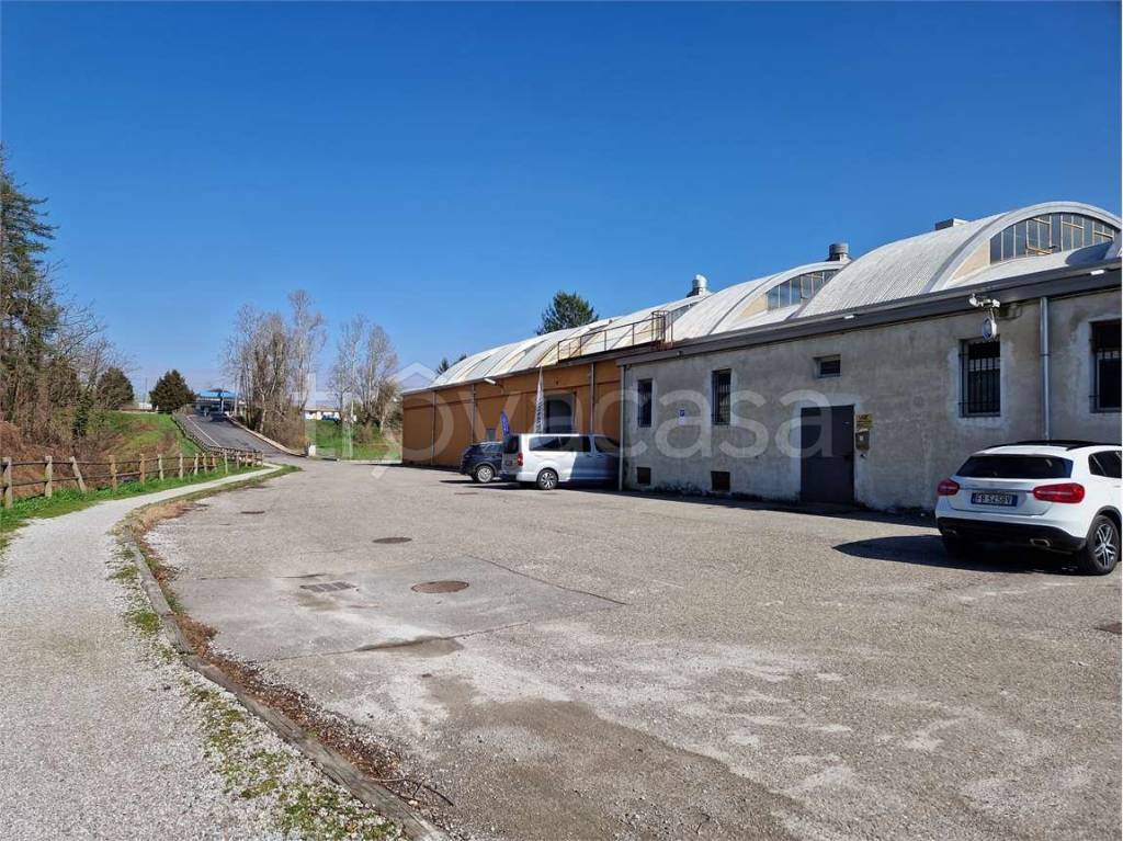 immagine annuncio 11 di 15