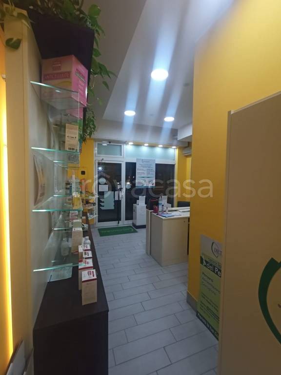 immagine annuncio 9 di 14