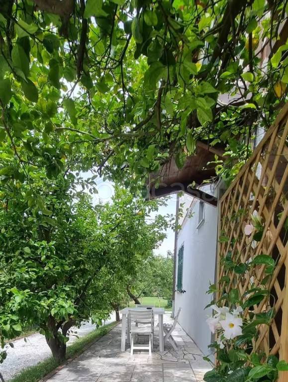 immagine annuncio 8 di 9