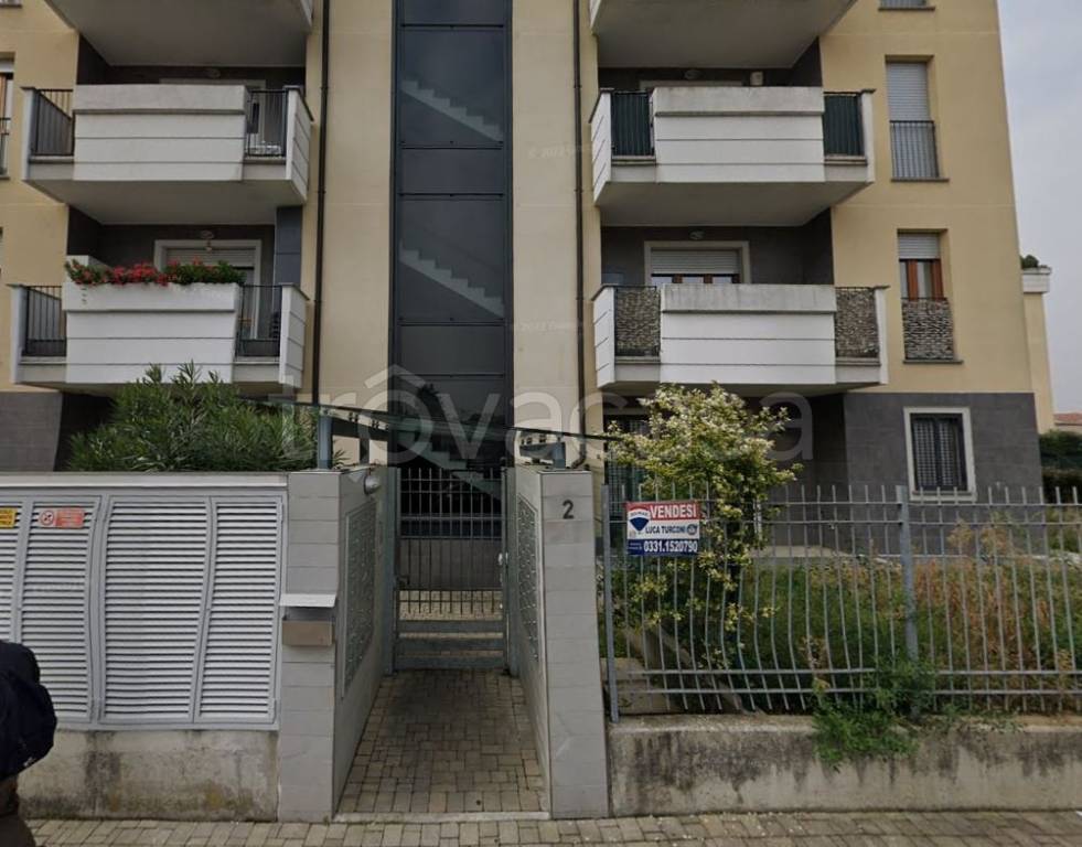 immagine annuncio 2 di 15