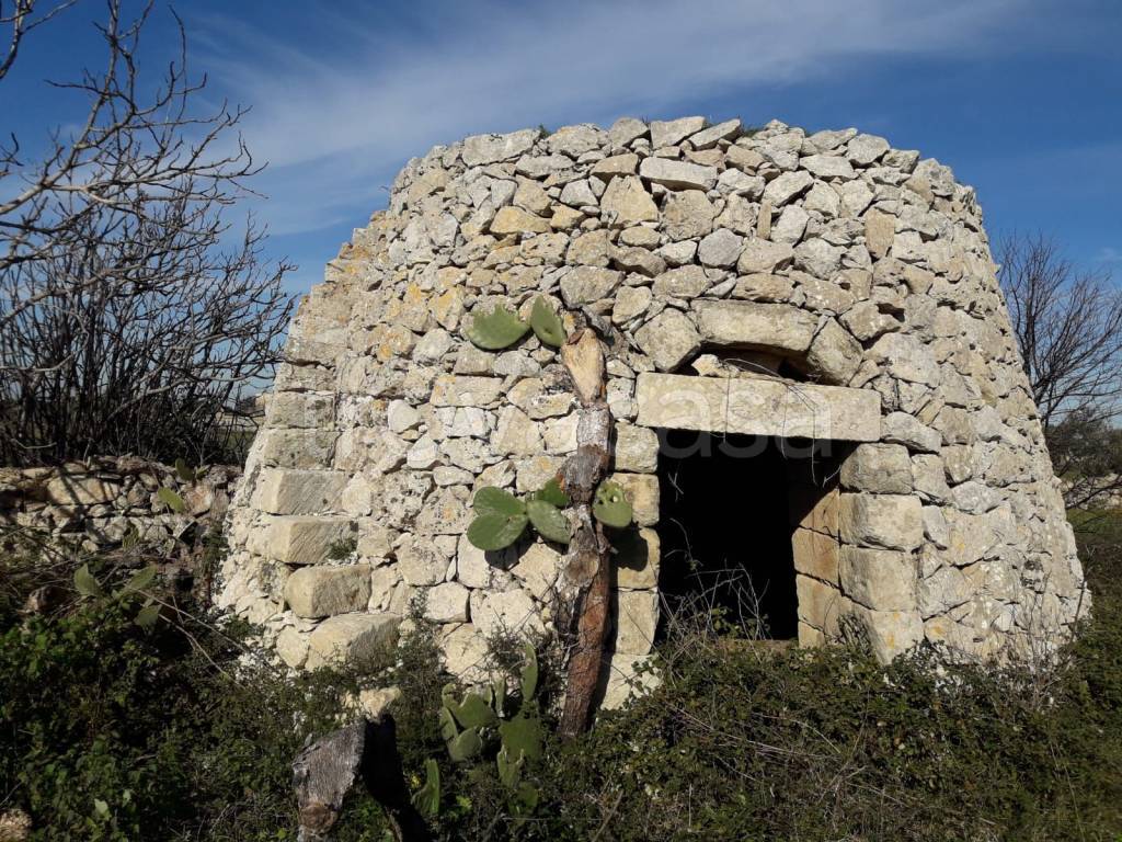 immagine annuncio 8 di 9