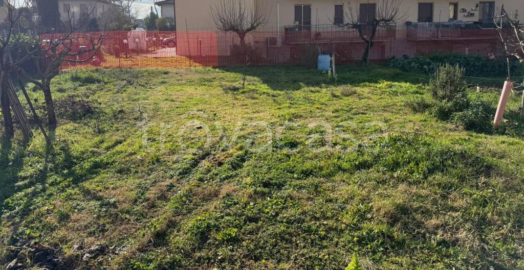 immagine annuncio 6 di 7