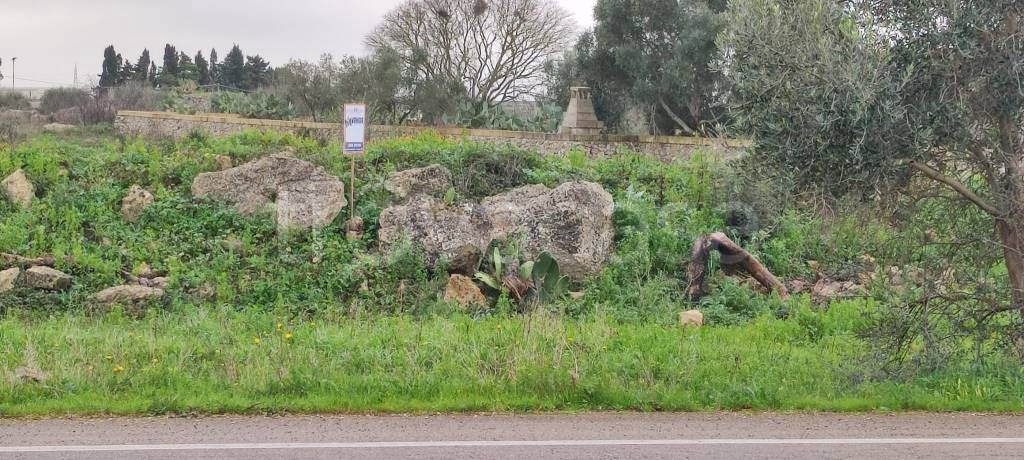 immagine annuncio 2 di 9