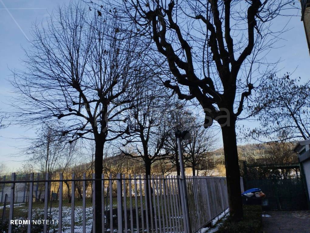 immagine annuncio 2 di 4