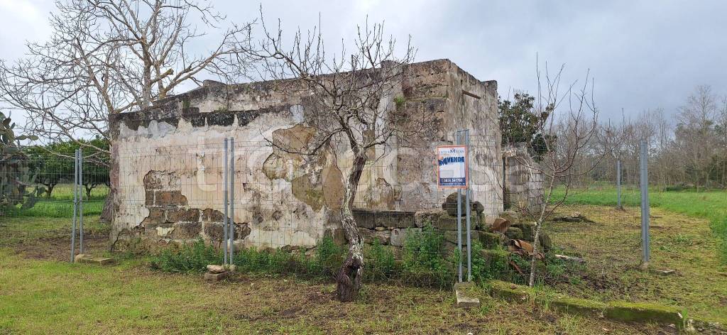 immagine annuncio 1 di 8