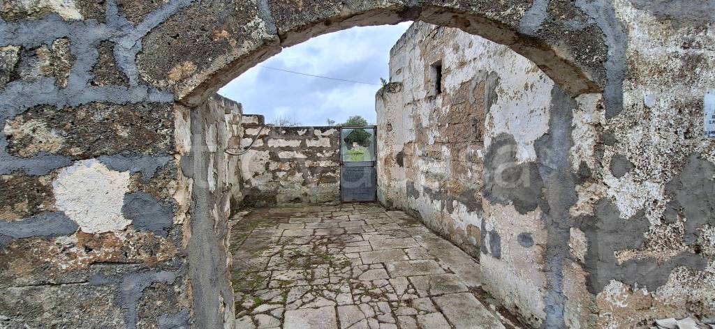 immagine annuncio 4 di 8