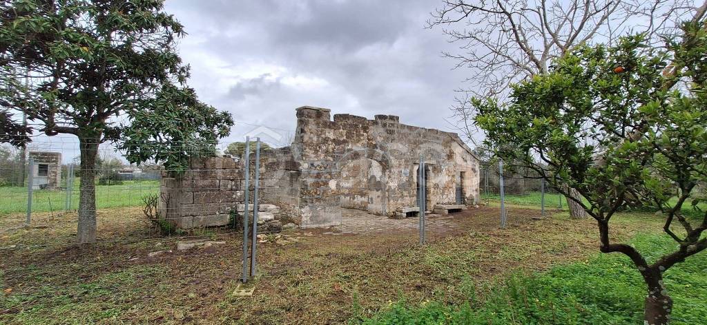 immagine annuncio 5 di 8