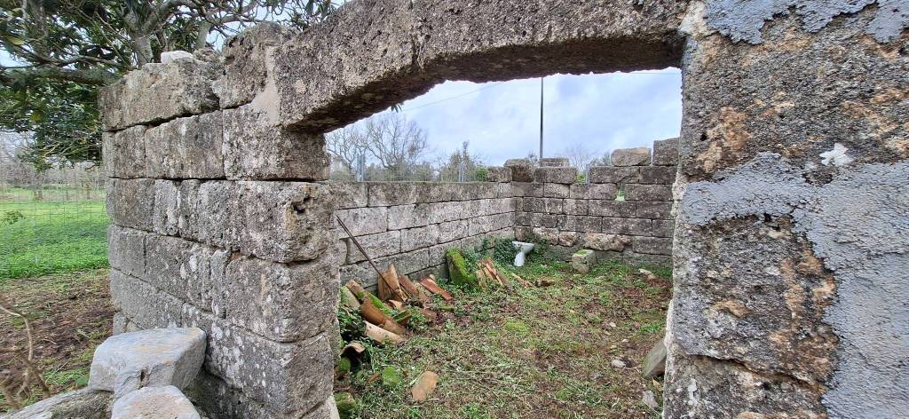 immagine annuncio 7 di 8