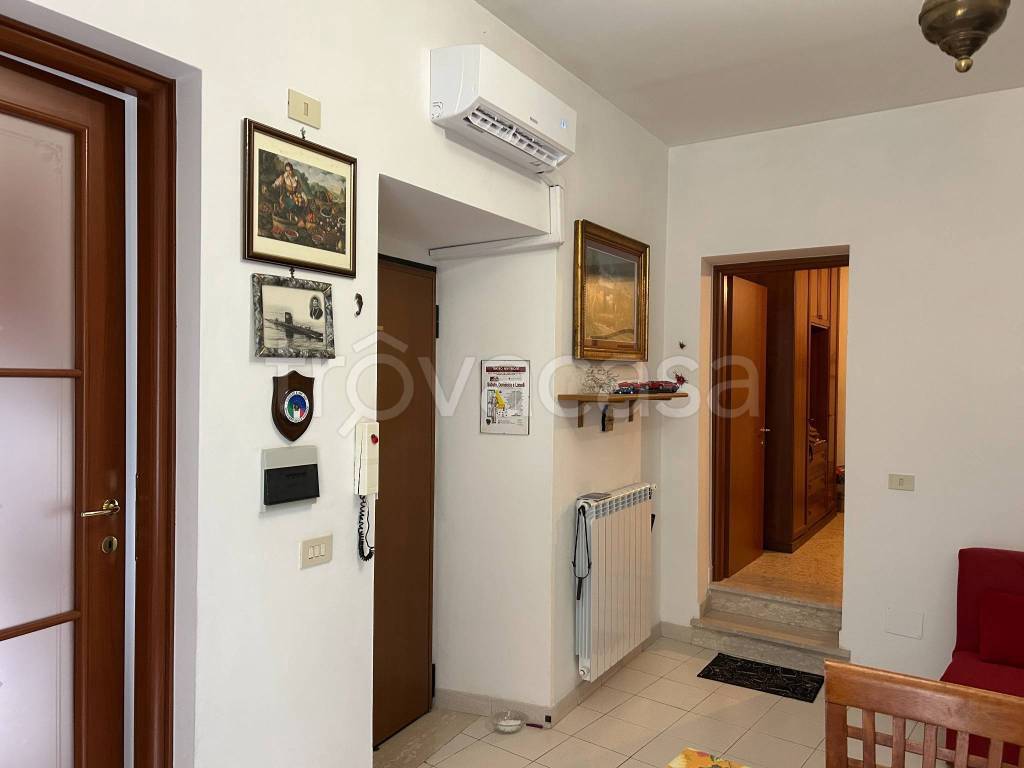 immagine annuncio 4 di 14