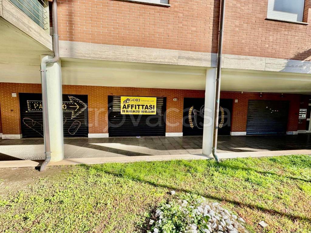 immagine annuncio 2 di 14