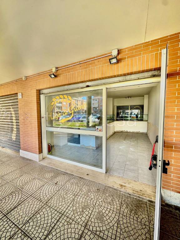 immagine annuncio 3 di 14