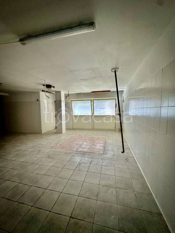 immagine annuncio 10 di 14