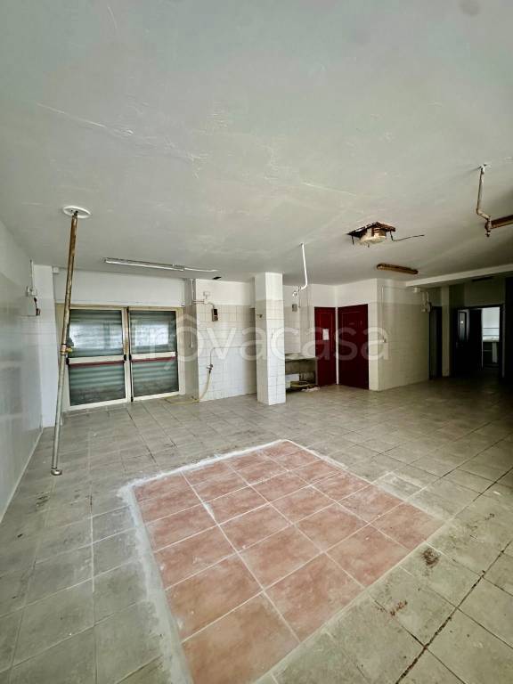 immagine annuncio 11 di 14