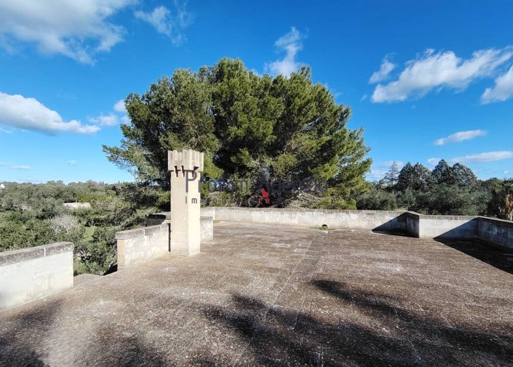 immagine annuncio 14 di 15