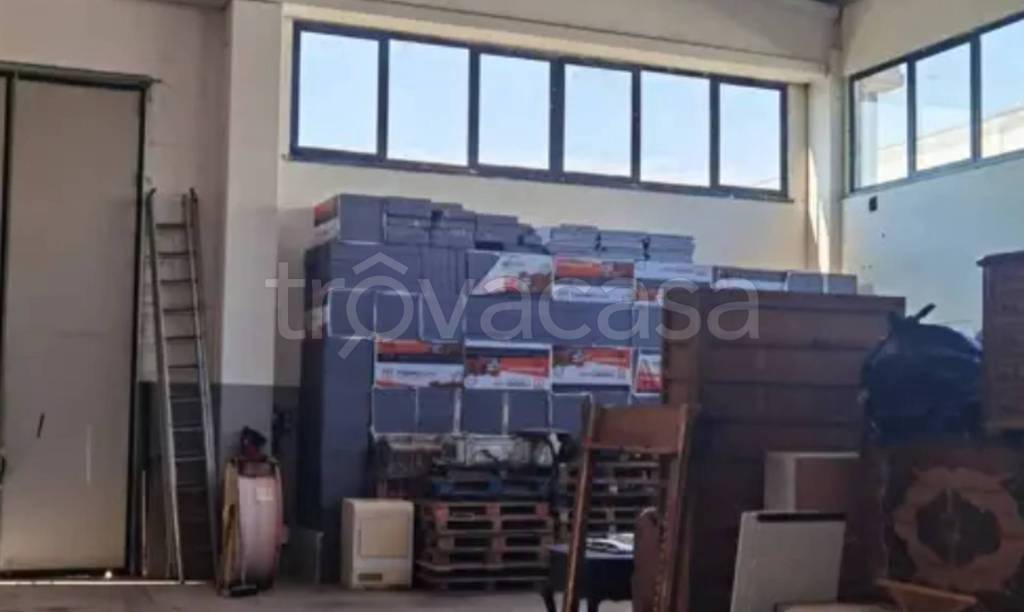 immagine annuncio 7 di 14