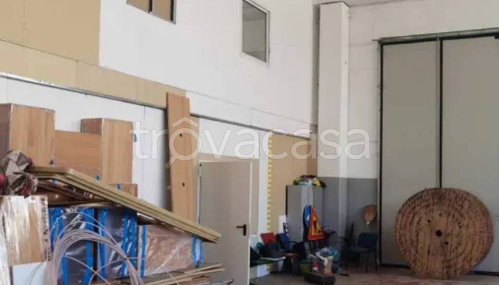 immagine annuncio 10 di 14