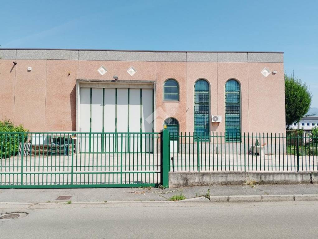 immagine annuncio 1 di 15