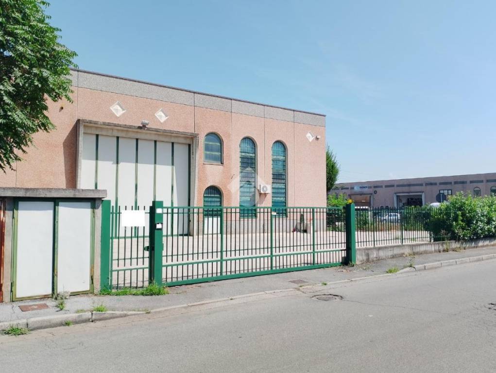 immagine annuncio 2 di 15