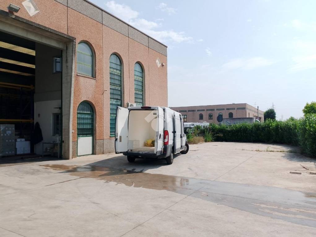 immagine annuncio 4 di 15