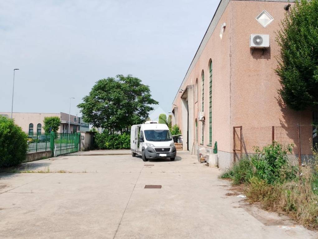 immagine annuncio 5 di 15