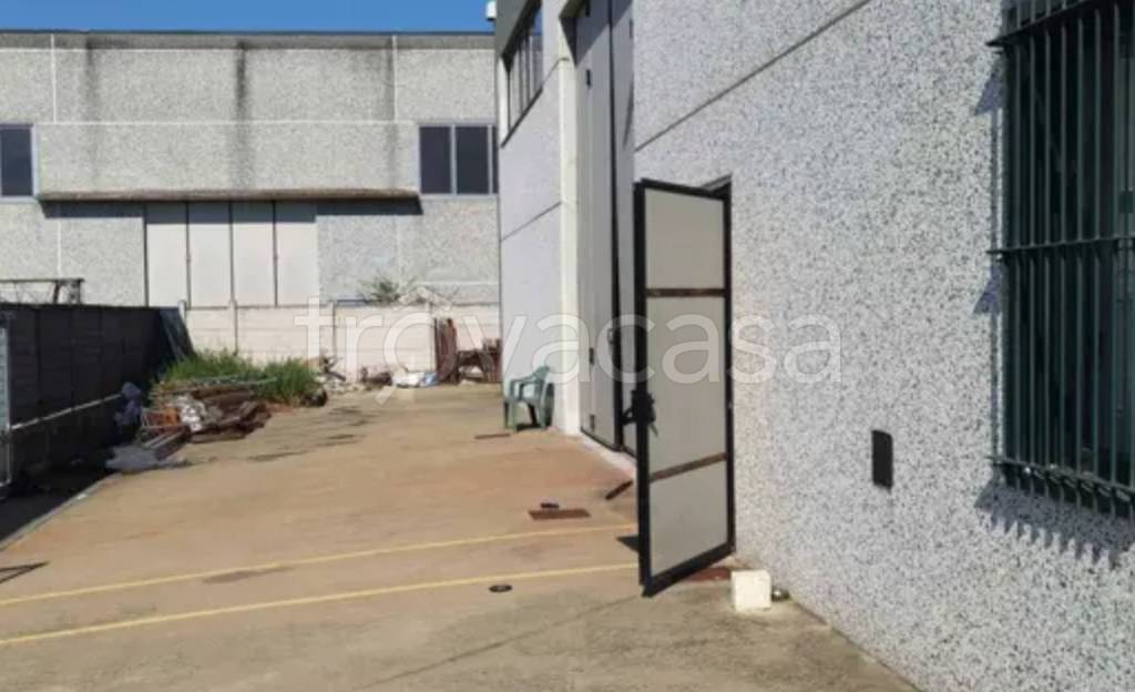 immagine annuncio 11 di 14